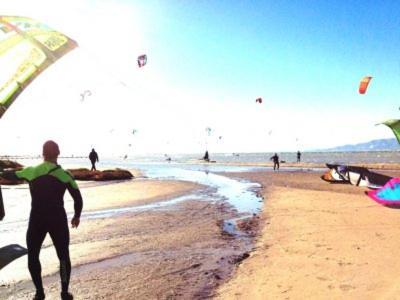 L'EucaliptusEucaliptus, Bonito Piso A Pocos Pasos De La Playa Delta De L'Ebre公寓 外观 照片